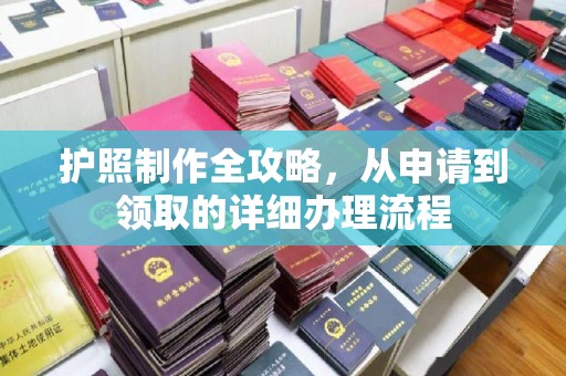 临桂护照制作全攻略，从申请到领取的详细办理流程